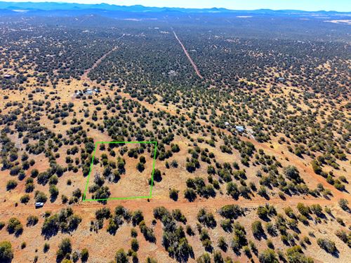 Discover Your Arizona Sanctuary : Concho : Apache County : Arizona