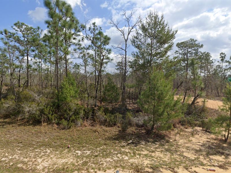 No Time Like The Present, $199/Mo : Interlachen : Putnam County : Florida