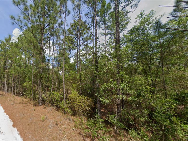 .23 Acres, Start Your Story Here : Georgetown : Putnam County : Florida