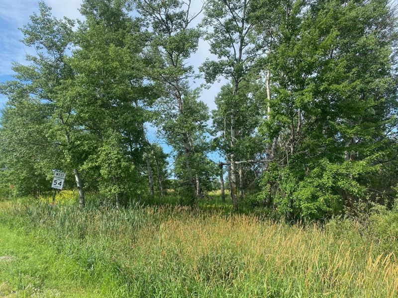 Beautiful 10 Acre Building Site : Braham : Isanti County : Minnesota