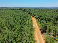 Pike Tract : Mauk : Marion County : Georgia