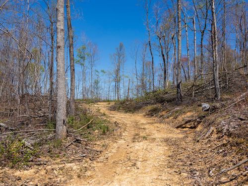 No Credit Check, $999 Down : Mount Vernon : Rockcastle County : Kentucky