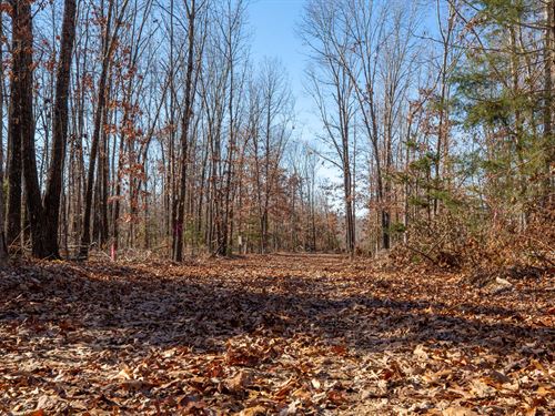 Limited Availability Arkansas $999 : Mammoth Spring : Fulton County : Arkansas