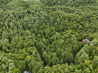 4.81 Acres in Mineral Bluff, GA : Mineral Bluff : Fannin County : Georgia