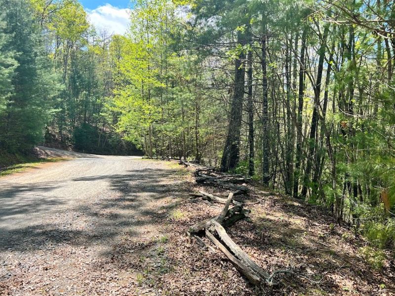 4.81 Acres in Mineral Bluff, GA : Mineral Bluff : Fannin County : Georgia