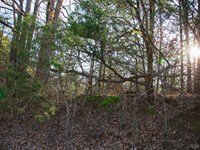 $999 Down Lake Property : Canadian : Pittsburg County : Oklahoma