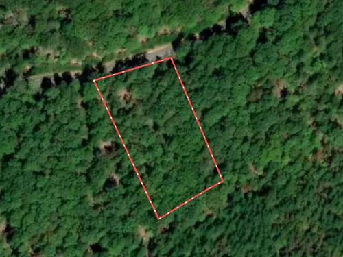 Updated, 1.5 Acre Lot For Sale : Denton : Davidson County : North Carolina