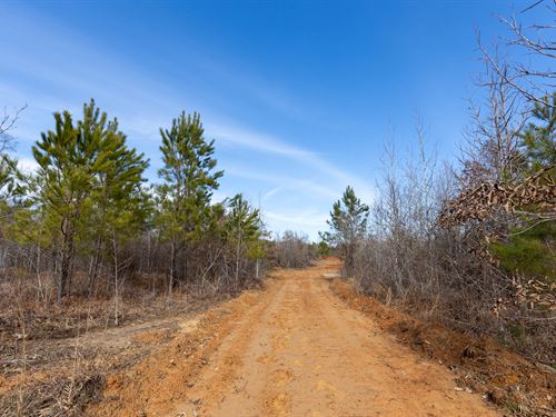 6.49 Acres Low Down Payment : Bankston : Fayette County : Alabama