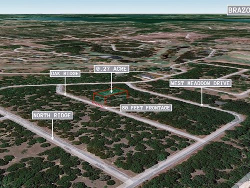 .27 Acre in Whitney, $250 a Month : Whitney : Hill County : Texas