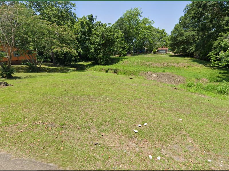 Rare Big Beautiful Lot with Stream : Laurel : Jones County : Mississippi