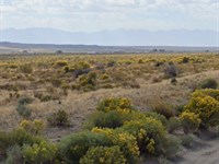 Spacious Corner Lot for Sale : Elko : Nevada