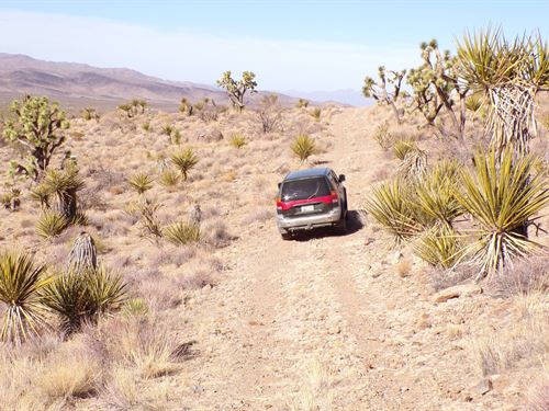 Your Own Private Escape : Dolan Springs : Mohave County : Arizona