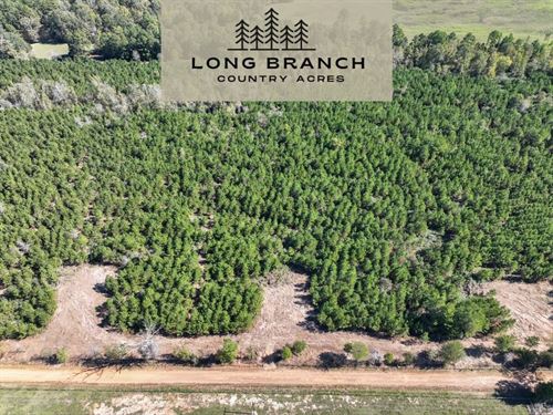 5 Acres, CR 3121, T-7 : Long Branch : Panola County : Texas