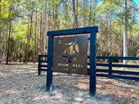 11 Acres, FM 350, T-1, Plum Cree : West Livingston : Polk County : Texas
