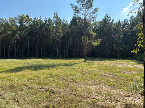 12 Acres, T-1, Eugene Walker Road : Huntington : Angelina County : Texas