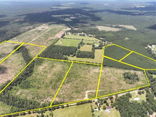 12 Acres, T-11, FM 1276, 00011 : Dallardsville : Polk County : Texas
