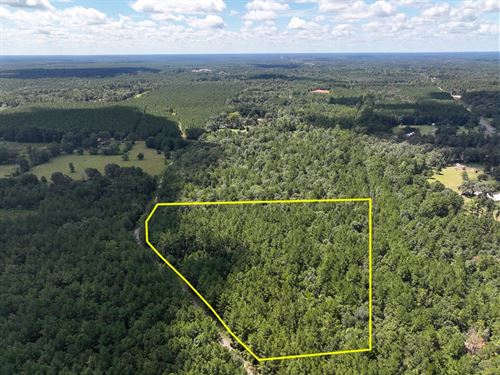 7 Acres, T-2, County Road 4470 : Ivanhoe : Tyler County : Texas