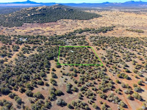 Rustic Off-Grid Sanctuary : Williams : Coconino County : Arizona