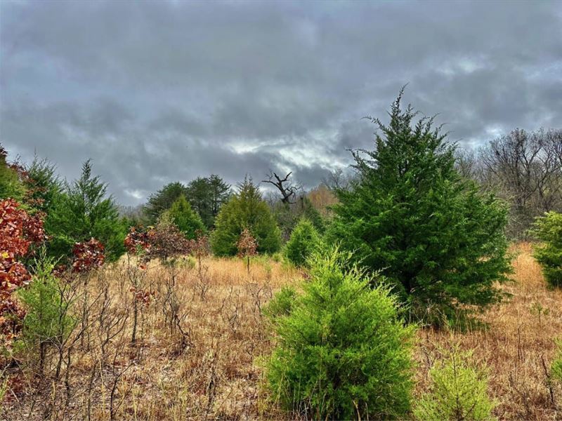 4.87 Acres in Noble, OK : Noble : Cleveland County : Oklahoma
