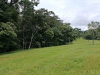 Beautiful Natural Farm : Costa Rica