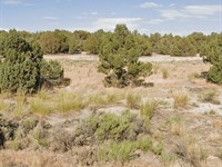 Your Legacy 1.13 Acres for $90/Mo : Spring Creek : Elko County : Nevada