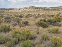 Camp, Ride, Explore in Nv, $100/Mo : Elko : Nevada