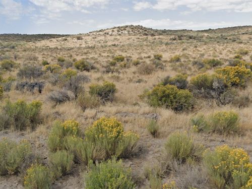 Camp, Ride, Explore in Nv, $100/Mo : Elko : Nevada