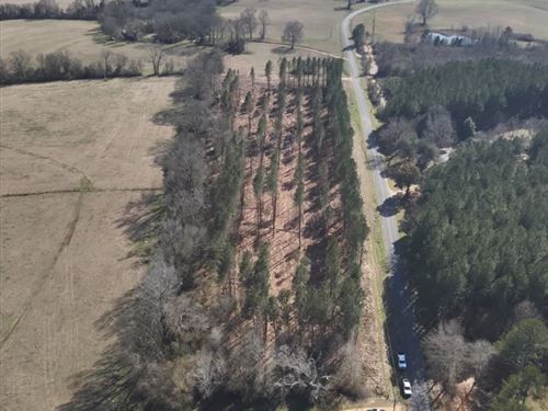 8.11 Acres in Smith County in Bay : Bay Springs : Smith County : Mississippi