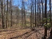 Lot 12 Turkey Creek Rd, Natchez, MS : Natchez : Adams County : Mississippi