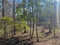 2.05 Ac Turkey Creek Rd, Natchez : Natchez : Adams County : Mississippi