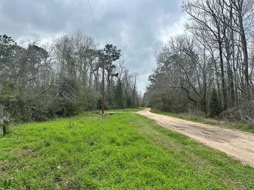 .41 Ac, Redbud Dr : Conroe : Montgomery County : Texas
