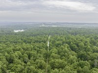 Mobile Home and Cabin Friendly Lot : Horseshoe Bend : Izard County : Arkansas