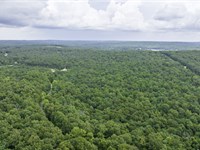 Strawberry River Adventure : Horseshoe Bend : Izard County : Arkansas