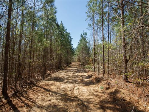 No Credit Check Land $999 Down : Tishomingo : Mississippi