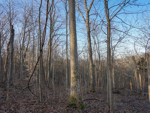 Arion Dr 4 : Manchester : Adams County : Ohio