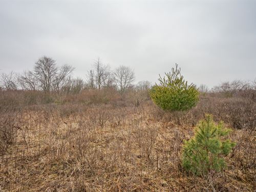 Build Your New Home on 3.44 Acres : Cumberland : Guernsey County : Ohio