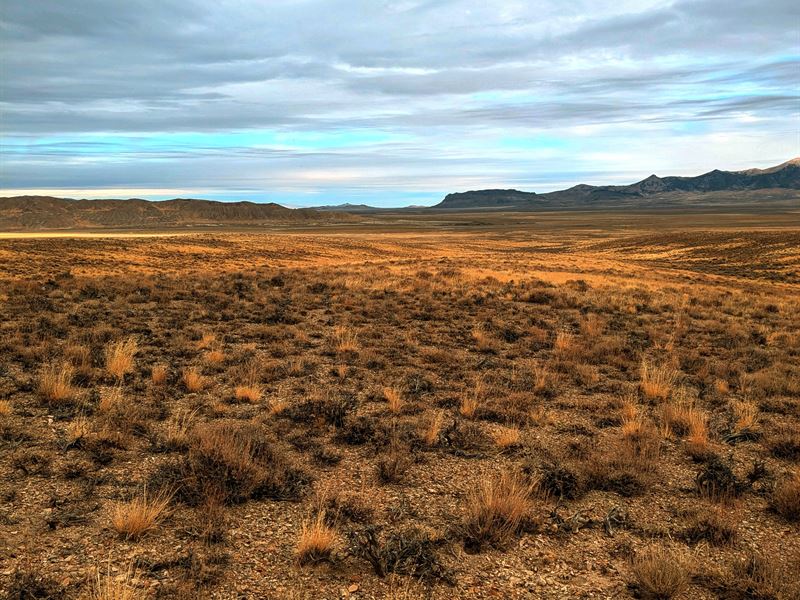 10.76 Ac Freedom & Beauty, $305/Mo : Montello : Elko County : Nevada