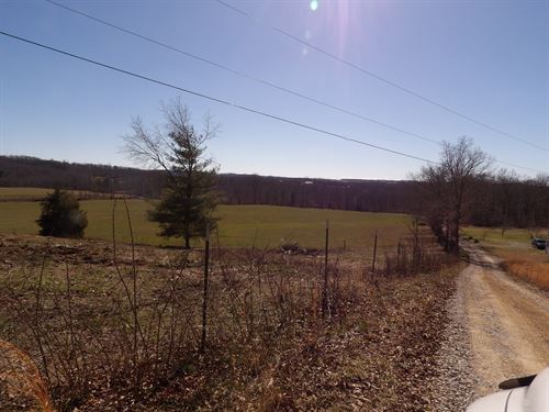 Road Frontage, Pasture, Wooded : Pikeville : Bledsoe County : Tennessee