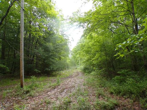 Close to Town, But Private : Crossville : Cumberland County : Tennessee