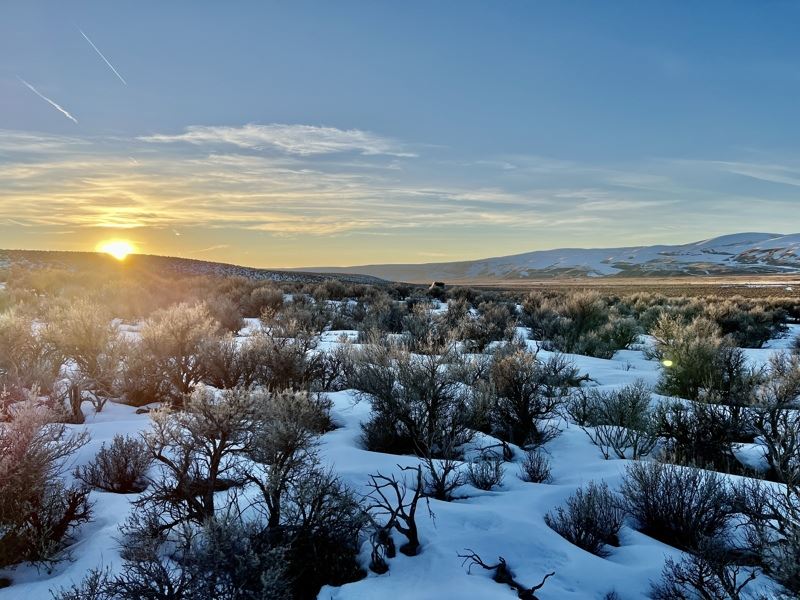 10 Ac Open Space Off-Grid $340/Mo : Montello : Elko County : Nevada