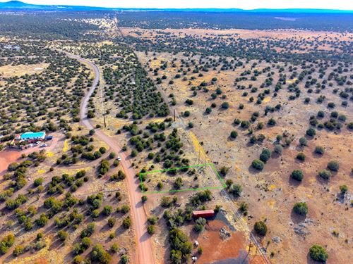 Spectacular Mountain Retreat : Show Low : Navajo County : Arizona