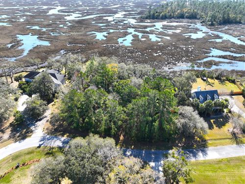 Marshfront Lot For Sale in Bristol : Kingsland : Camden County : Georgia
