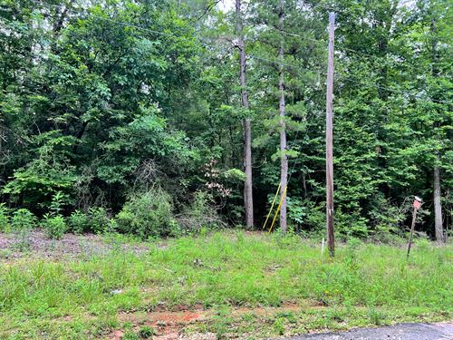 Invest Near Houstons Lake Community : Woodville : Tyler County : Texas
