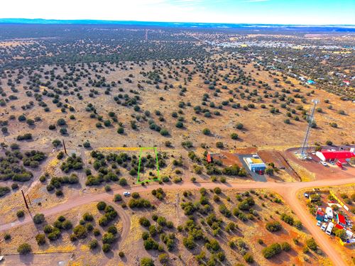 Woodland Serenity with Lake Nearby : Show Low : Navajo County : Arizona