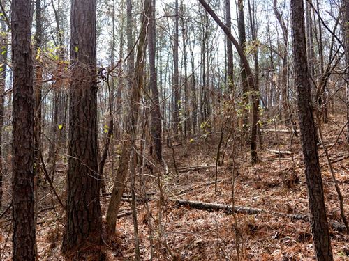 Shelby County Residential Lot Lot : Wilsonville : Shelby County : Alabama