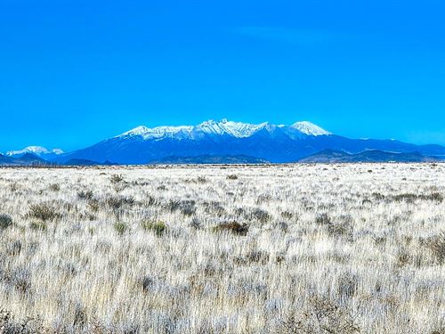 5 Acre Off Grid Oasis, $159/Month : Antonito : Costilla County : Colorado