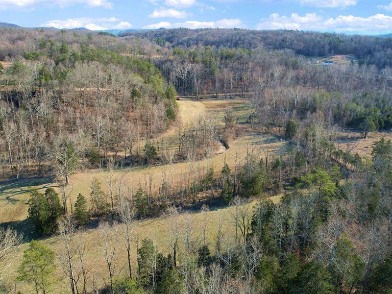 15 Acres in Estill County, KY : Irvine : Estill County : Kentucky