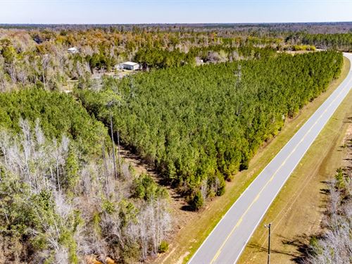 10 Ac Homesite And Mini-Farm Lot : Blountstown : Calhoun County : Florida
