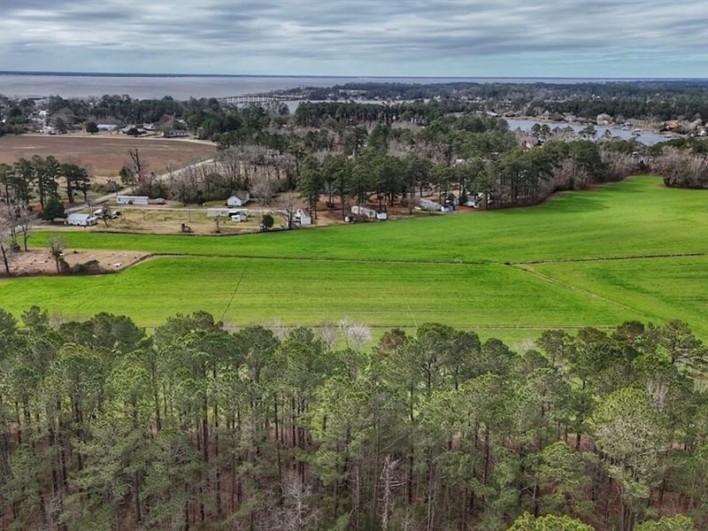 .92 Acre Residential Lot for Sale : Oriental : Pamlico County : North Carolina