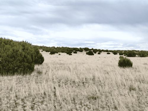 Slice of Peace, Ready To Plow : Concho : Apache County : Arizona